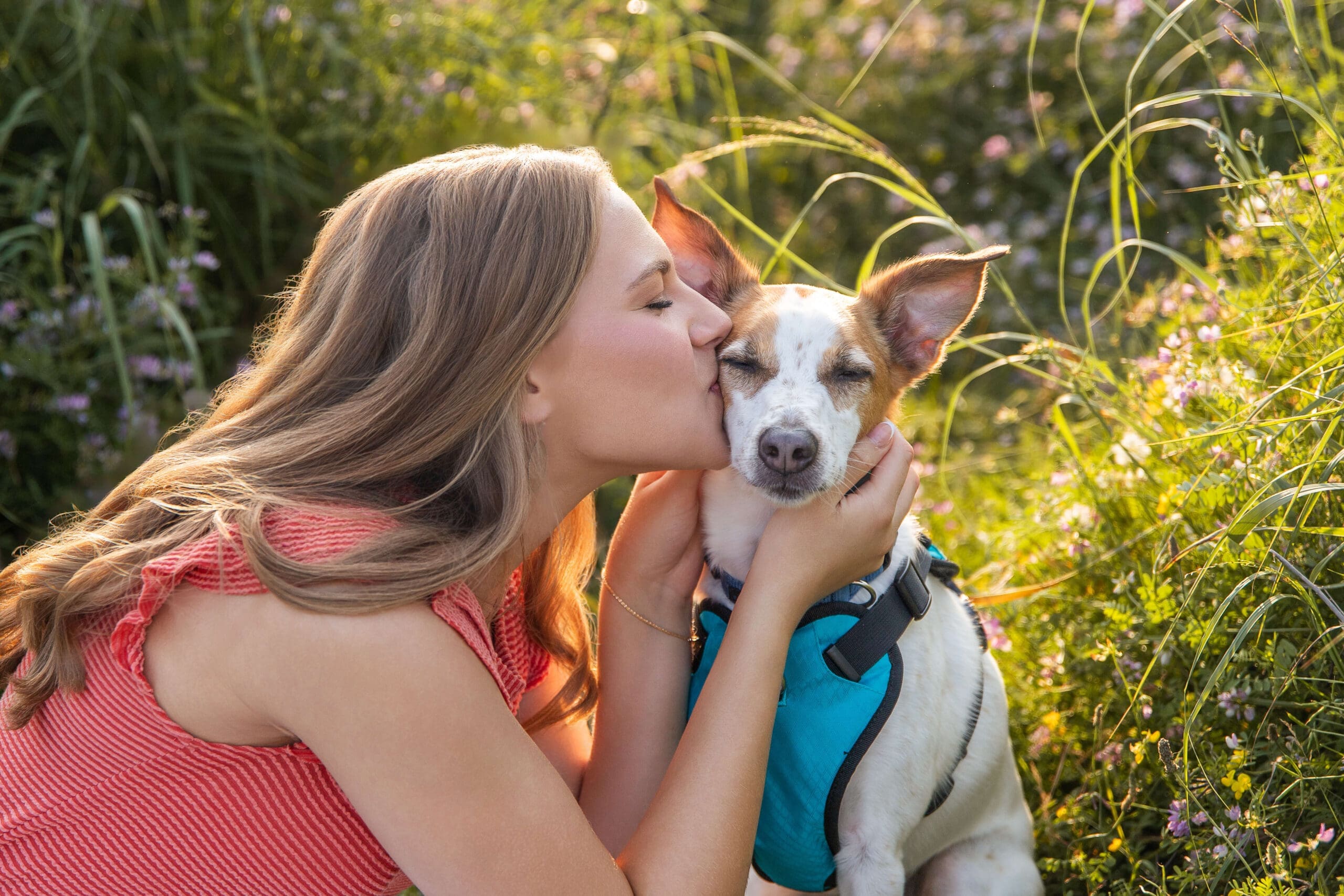 A woman kisses the cheek of her small dog in a park at sunset